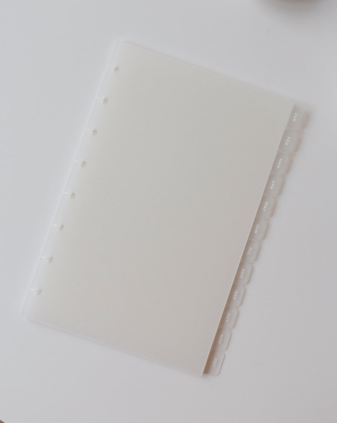 12 Month Side Frosted Tab Dividers | Jan - Dec