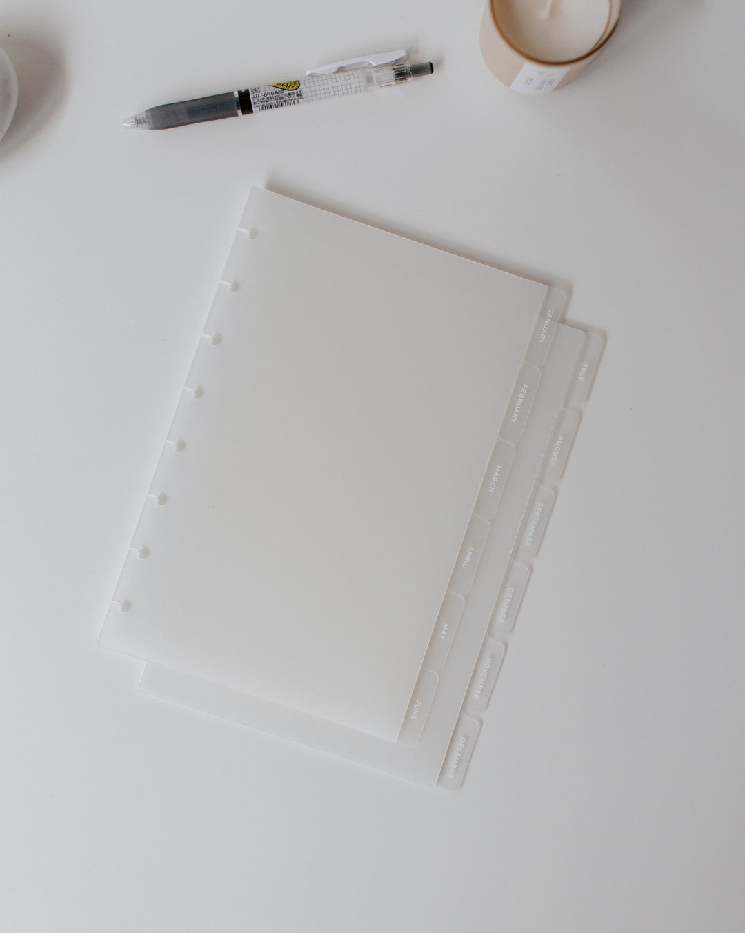 12 Month (2 Set of 6 Dividers) Side Frosted Tab Dividers | Jan - Dec