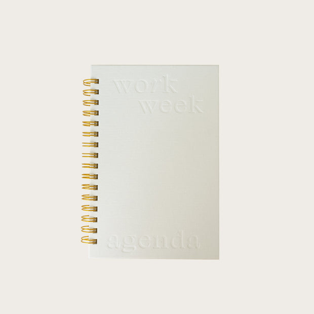 2025 Weekly Planner | Work Professional